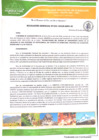Vista preliminar de documento Resolución Gerencial N° 033-GIDUR-MPH-M