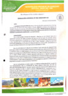 Vista preliminar de documento Resolución Gerencial N° 036-GIDUR-MPH-M