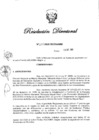 Vista preliminar de documento RD N° 270-2020.pdf