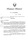 Vista preliminar de documento RD N° 275-2020.pdf
