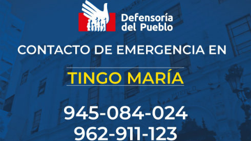 Gráfica de números telefónicos de contacto de la oficina defensorial