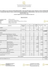 Vista preliminar de documento ANEXO 1 R.R. N.º 006996 - 2021.