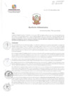 Vista preliminar de documento RA030.pdf