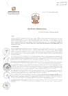 Vista preliminar de documento RA029.pdf