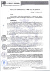 Vista preliminar de documento RAD-009-2021.pdf