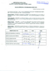 Vista preliminar de documento R.D.N°189.pdf