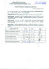 Vista preliminar de documento R.D.N°196.pdf