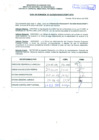 Vista preliminar de documento R.D.N°303.pdf