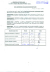 Vista preliminar de documento R.D.N°323.pdf