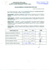 Vista preliminar de documento R.D.N°335.pdf