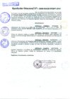 Vista preliminar de documento R.D.N°341.pdf