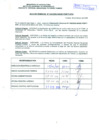 Vista preliminar de documento R.D.N°345.pdf