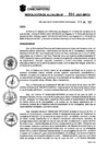 Vista preliminar de documento Resolucion_2021_224.pdf