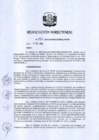 Vista preliminar de documento RD 193-2018
