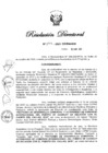 Vista preliminar de documento RD N° 294-2020.pdf