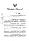 Vista preliminar de documento RD N° 295-2020.pdf