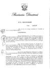 Vista preliminar de documento RD N° 316-2020.pdf