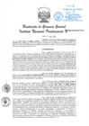 Vista preliminar de documento RGG 104-2020.pdf