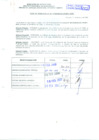 Vista preliminar de documento R.D.N°461.pdf