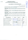 Vista preliminar de documento R.D.N°484.pdf