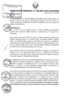 Vista preliminar de documento RESOLUCION GERENCIAL Nº 206-2021 GRLL-GGR-GRSA.PDF