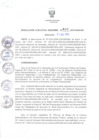 Vista preliminar de documento RER_610_2015.pdf