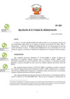 Vista preliminar de documento RUA 207-2021.pdf