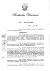 Vista preliminar de documento RD N° 357-2020.pdf