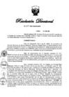 Vista preliminar de documento RD N° 207-2021.pdf