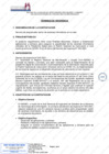 Vista preliminar de documento Servicio de programador senior de sistemas informáticos en la nube