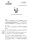 Vista preliminar de documento RD131.pdf