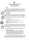 Vista preliminar de documento ra0335-2021