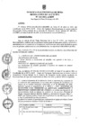 Vista preliminar de documento ra0310-2021