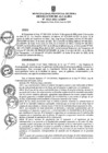 Vista preliminar de documento ra0315-2021