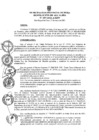 Vista preliminar de documento ra0387-2021