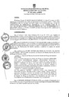 Vista preliminar de documento ra0393-2021