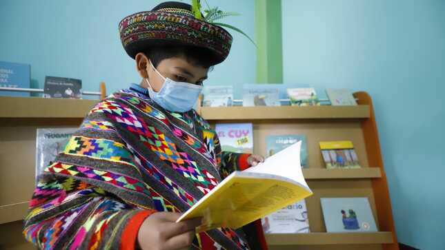 Ministerio de Cultura publica el reglamento de la nueva ley del libro
