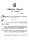 Vista preliminar de documento RD N° 313-2019.pdf