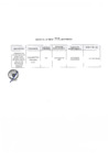 Vista preliminar de documento Anexo