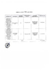 Vista preliminar de documento Anexo