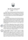 Vista preliminar de documento RES, DIR. 005-2018