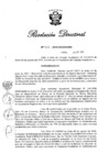 Vista preliminar de documento RD N° 321-2019.pdf