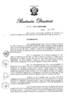 Vista preliminar de documento RD N° 323-2019.pdf