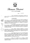 Vista preliminar de documento RD N° 339-2019.pdf
