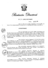 Vista preliminar de documento RD N° 376-2019.pdf