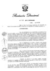 Vista preliminar de documento RD N° 409-2019.pdf