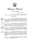 Vista preliminar de documento RD N° 428-2019.pdf