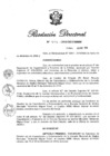Vista preliminar de documento RD N° 441-2019.pdf