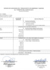 Vista preliminar de documento Estado de Ejecución del Presupuesto de Ingresos y Gastos 2013