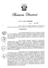 Vista preliminar de documento RD N° 455-2019.pdf